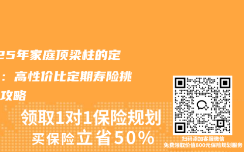 2025年家庭頂梁柱的定心丸：高性價比定期壽險挑選全攻略